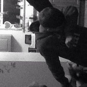 Meet your Posher, Molly